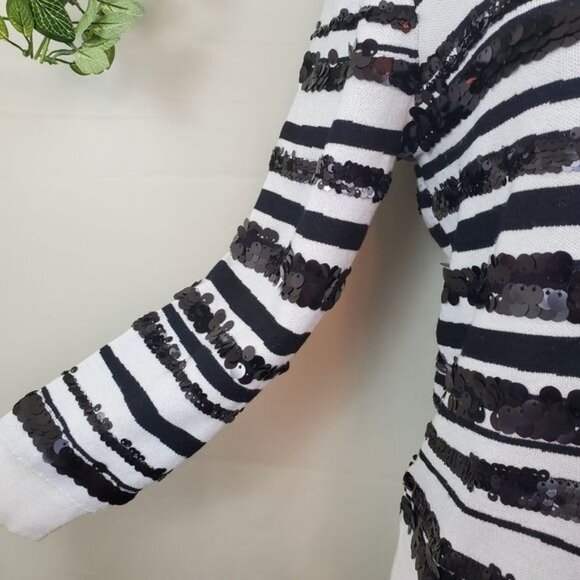 Ann Taylor Sequin Zebra Jacquard Pullover Sweater Blouse Small Stripe Long Sleev - Picture 10 of 10